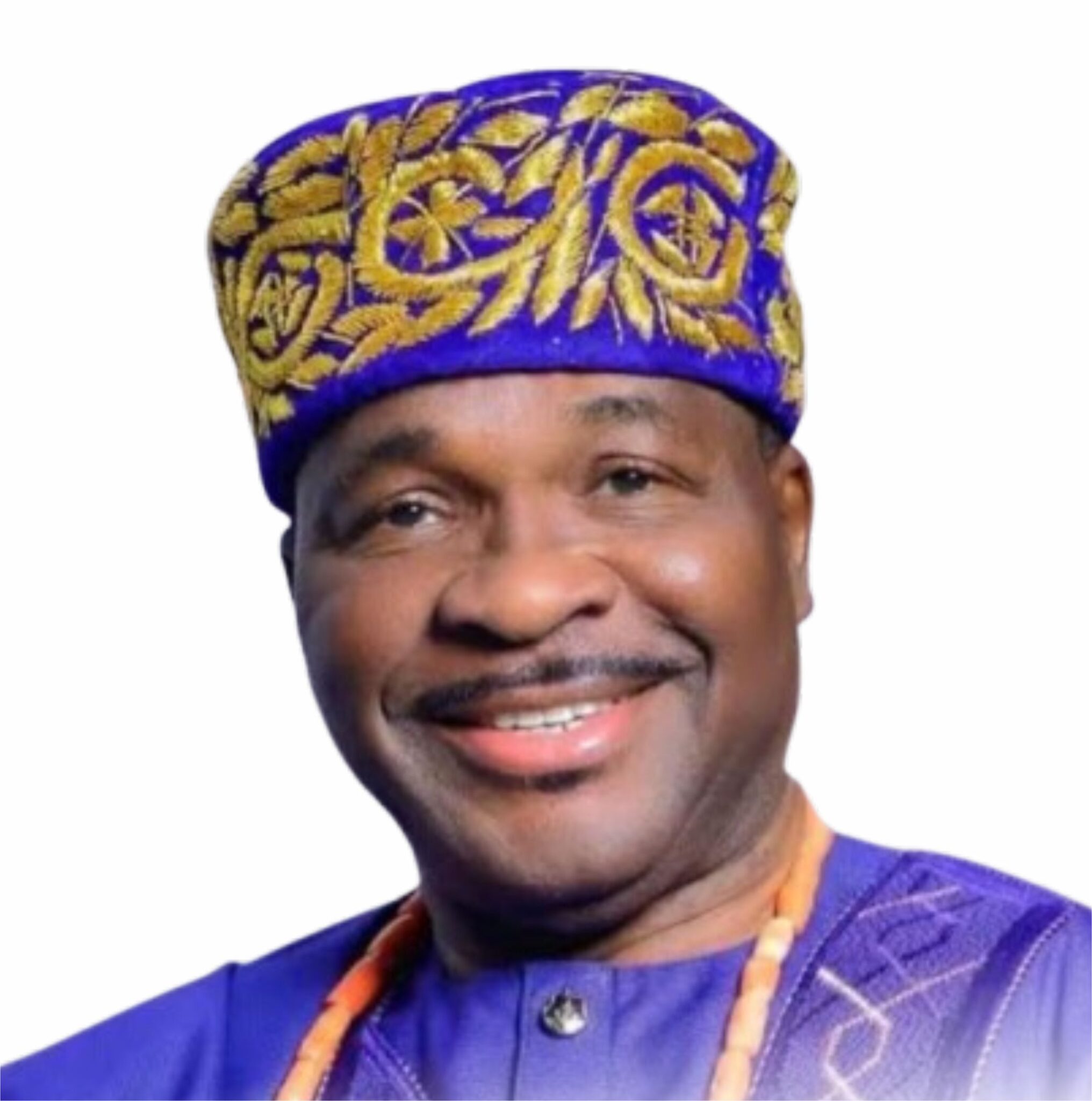 Prof.-Mike-Ozekhome-2-2032x2048.jpg